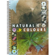 Özgün Defter Özgün A4 Spiralli Sert Kapak 5 Renk Bölmeli Çizgili Defter 200 Yaprak