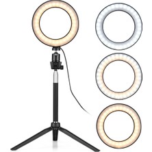 Golden Times 6 LED Lamba'da Zayıflama, Küçük, Fotoğrafçılık Için (Yurt Dışından)