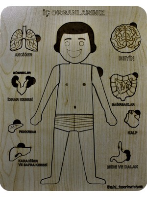 Mini Tasarım Atölyem Organlar Ahşap Puzzle
