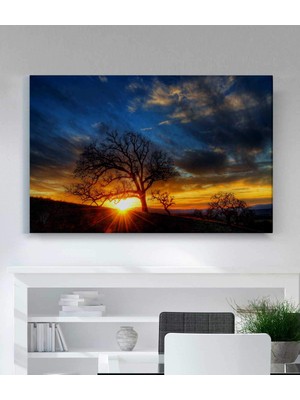 VeraStore Siyah ve Beyaz Ağaç Altın Gün Batımında Kanvas Tablolar