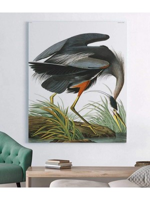 VeraStore John James Audubon Büyük Mavi Heron Kanvas Tablo