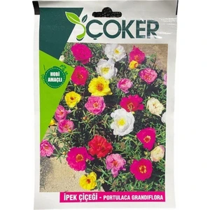 Ipek Çiçeği Çiçek Tohumu