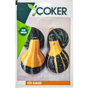 Süs Kabağı Çiçek Tohumu