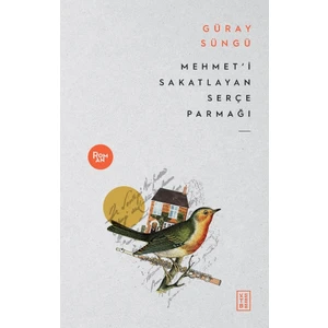 Mehmet’i Sakatlayan Serçe Parmağı - Güray Süngü