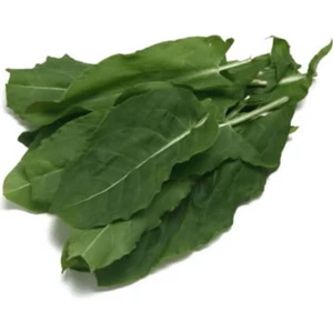 İdea Pazar Doğal Kuzu Kulağı Tohumu (50 Tohum)