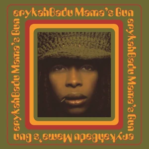 Erykah Badu Mama's Gun Plak