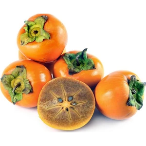 Cennet Hurması Fidanı Aşılı ( Açık Köklü  80-100 cm )