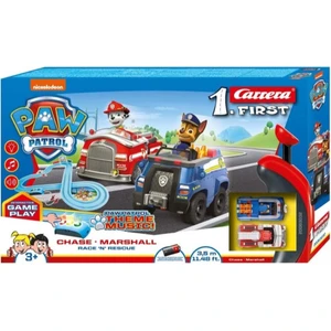 First Paw Patrol Race Rescue