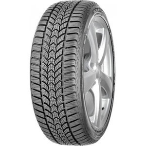 205/45 R17 88V XL Frigo Hp 2 Fp Oto Kış Lastiği ( Üretim Yılı: 2023 )