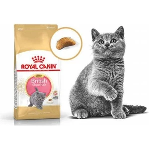 Royal Canin British Shorthair Yavru Kedi Maması 2 kg