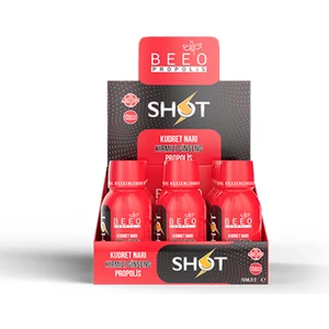 Bee' o Beeo Kudret Narı Ginseng Propolis 12'li Shot