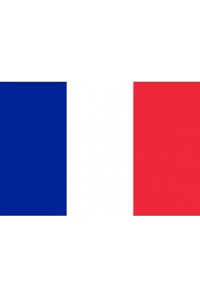 Alsancak 15 x 22,5 cm Fransa Yab.devlet Bayrakları