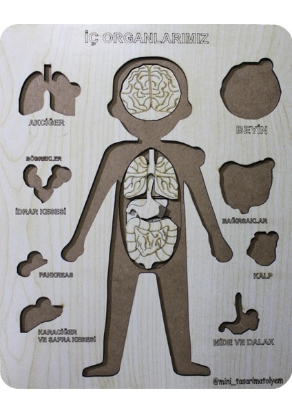 Organlar Ahşap Puzzle