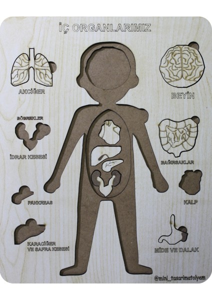 Organlar Ahşap Puzzle