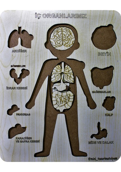 Organlar Ahşap Puzzle