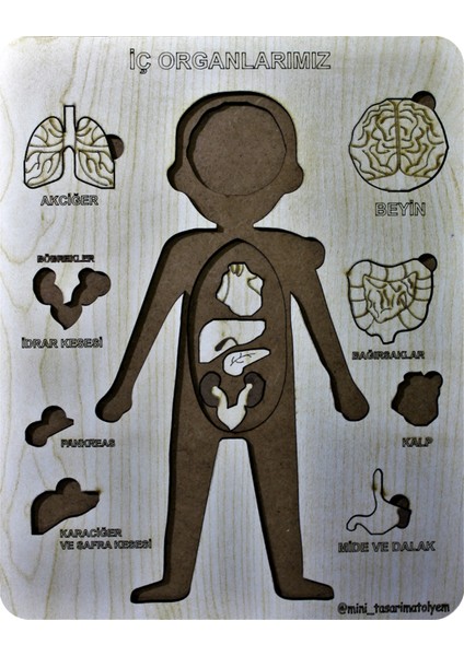 Organlar Ahşap Puzzle