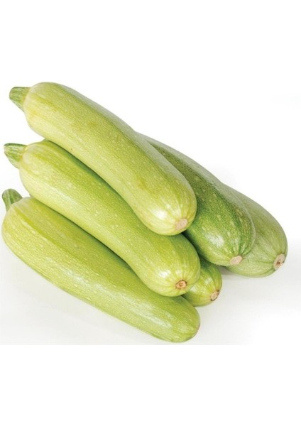 Kolsuz Beyaz Kabak Tohumu (10 Gram)