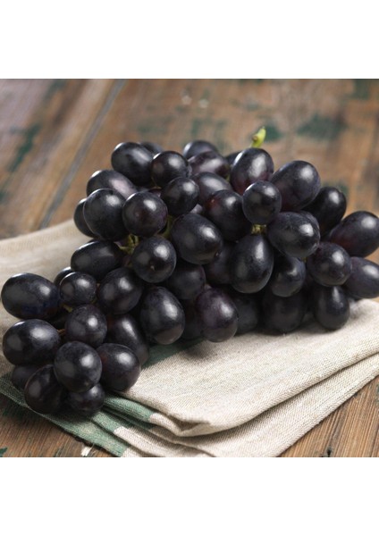 Tüplü Antep Karası Üzüm Fidanı 2 Yaş (Asma -Bağ)