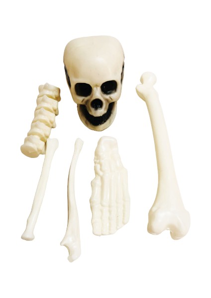 Cadılar Bayramı Halloween Kemik ve Kurukafa