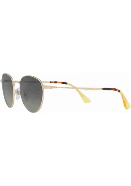 2445S 107671 52 Ekartman Unisex Güneş Gözlüğü fiyatları
