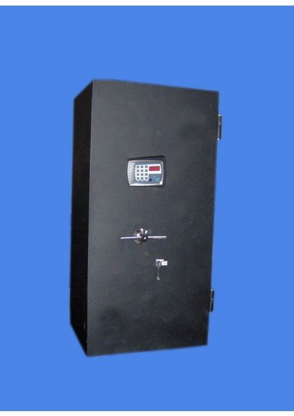 65 S Elektronik Şifreli ve Anahtarlı Bilgi Işlem Data Kasası 1850