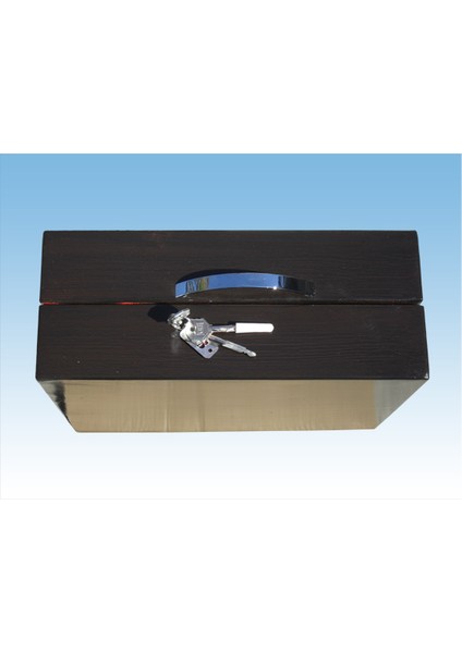 030EL Çelik Zırhlı Yangına Dayanıklı Özel Çivi Anahtarlı El Kasas