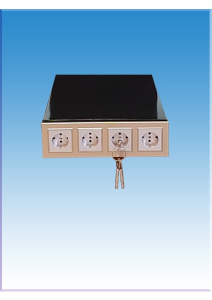 0069P3Ç Villa Tipi 4 Adet Prizle Gizlenmiş Çivi Anahtarlı Özel