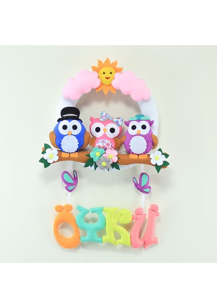 Öykü Isimli Baykuş Bebek Odası Kapı Süsü