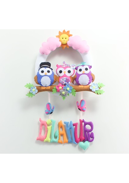 Dilanur Isimli Baykuş Bebek Odası Kapı Süsü