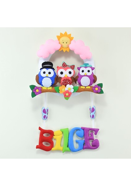 Bilge Isimli Baykuş Bebek Odası Kapı Süsü