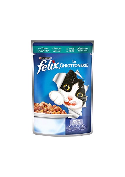 Jöle Ton Balıklı Kedi Maması 12 Adet