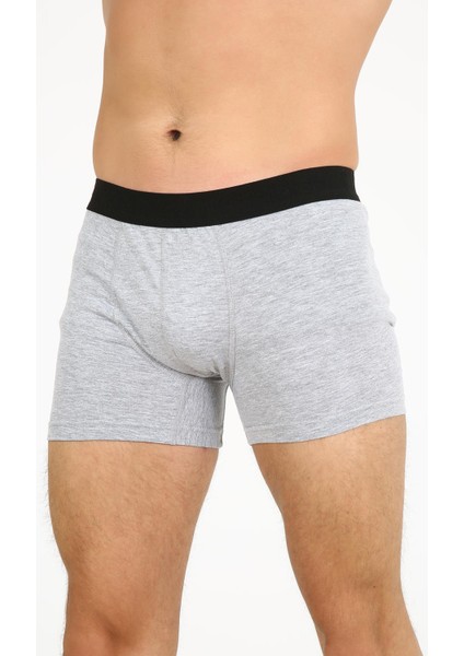 FPB8002 Erkek Boxer