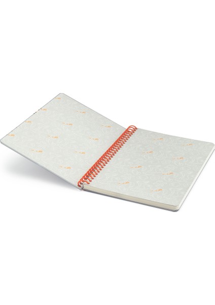 Buggs Bunny Butik Defter Çizgili