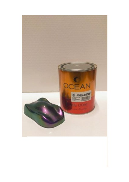 Viole Dream Renk Değiştiren Özel Boya 1kg