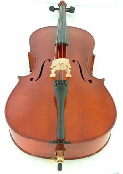 Cnpg-01 1/4 Çello