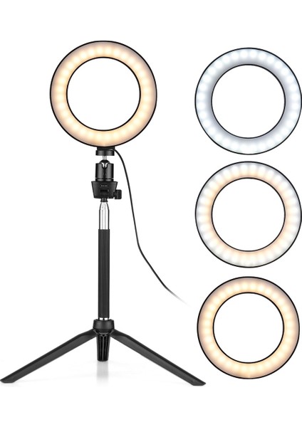 6 LED Lamba'da Zayıflama, Küçük, Fotoğrafçılık Için (Yurt Dışından)