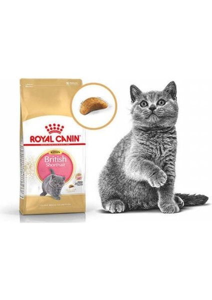 British Shorthair Yavru Kedi Maması 2 kg