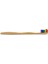 Adult Medium Rainbow Toothbrush 2