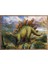 Interestıng Dınosaurs 4 In 1 Çocuk Puzzle (35+48+54+70 Parça) 2