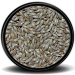 Vivid Sade Kanarya Yemi (Aspur) 500GR