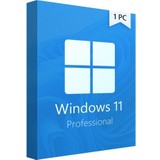 Microsoft Windows 11 Pro 64 Bit Oem DVD Kutu FQC-10556
