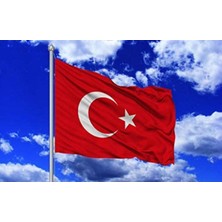 Çelik Online Türk Bayrağı 30X45 cm Alpaka Kumaş  50 Adet