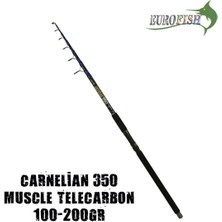 SHIMANO Eurofish Carnellian Muscle 350 cm 100-200 gr Telecarbon Surf Olta Kamışı