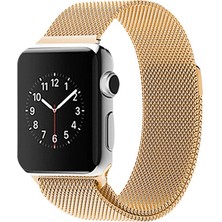 Nettech Metal Apple Watch Uyumlu Seri 44/42 mm Kordon