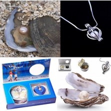 Kastore Istiridye Içinde Inci Kolye Seti