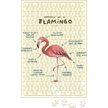 Baskı Dükkanı Bir Flamingo Anatomisi Puzzle 240 Parça Yapboz