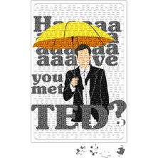 Baskı Dükkanı How I Met Your Mother Puzzle 240 Parça Yapboz