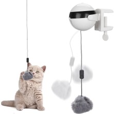 Petoys Akıllı Kedi Top Oyuncağı (Yurt Dışından)