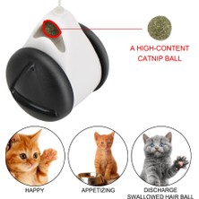 Petoys Etkileşımli Dönen Toplar Kedi Oyuncağı (Yurt Dışından)