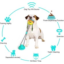 Petoys Köpek Topu Oyuncağı (Yurt Dışından)